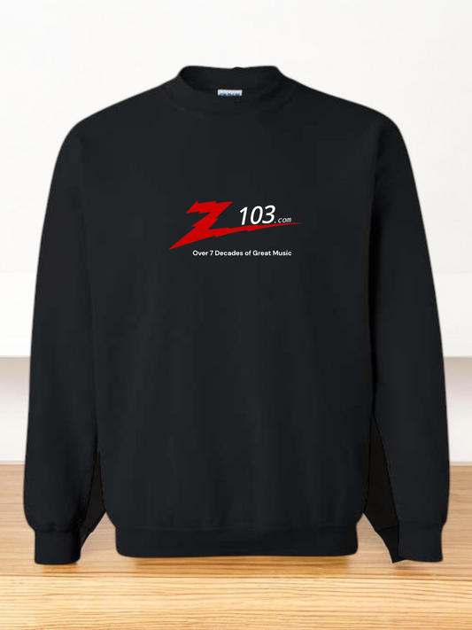 Z103 Hoodie/Sweatshirt Black